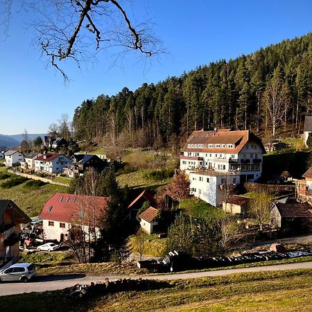 Pension Talblick Baiersbronn Exteriör bild