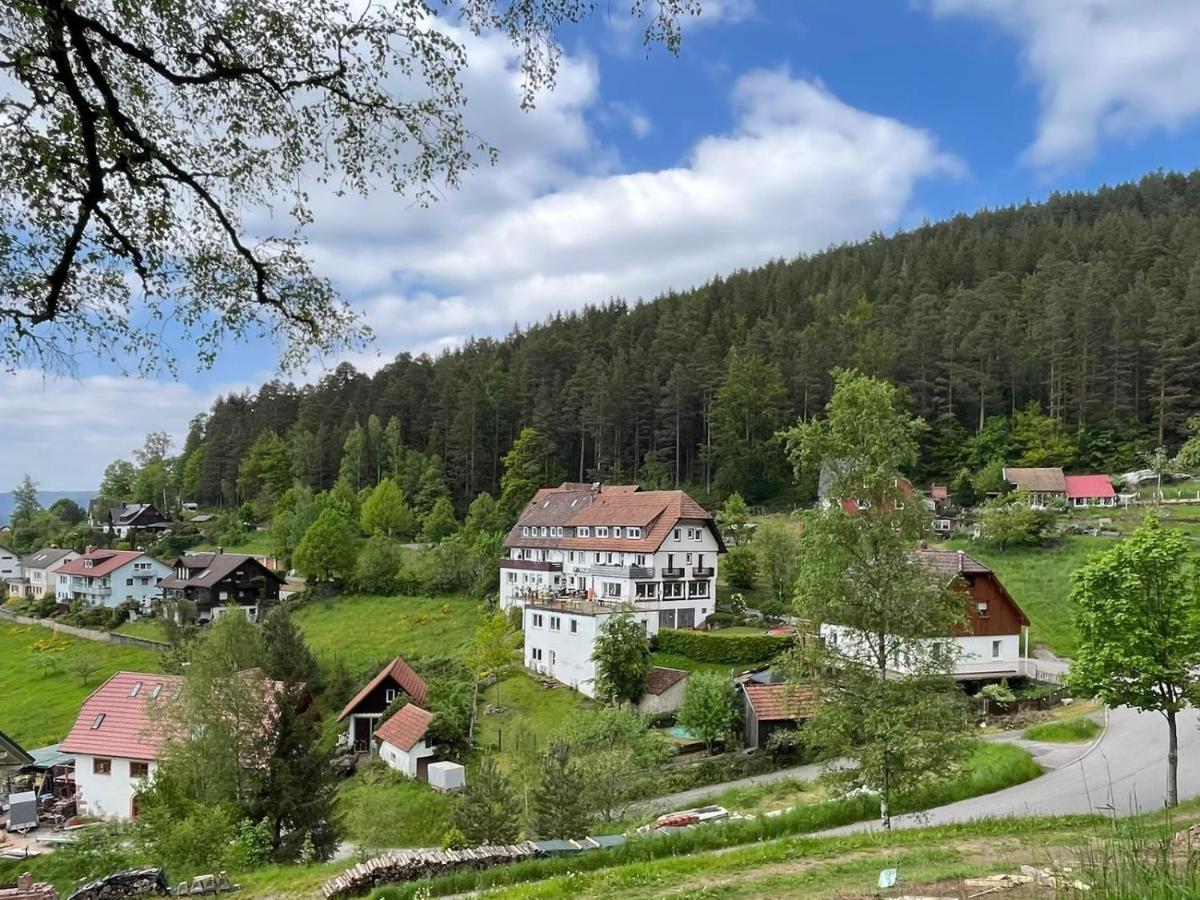 Pension Talblick Baiersbronn Rum bild