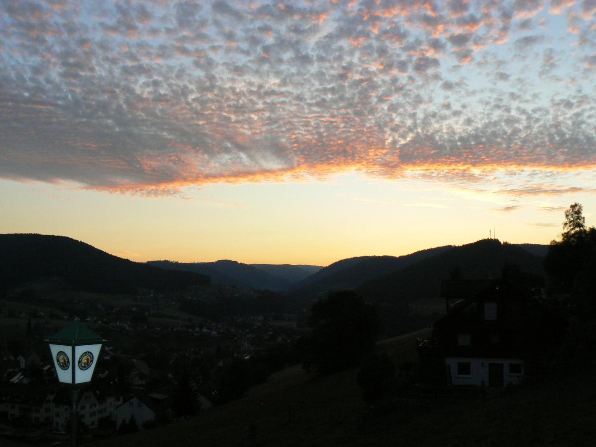 Pension Talblick Baiersbronn Exteriör bild