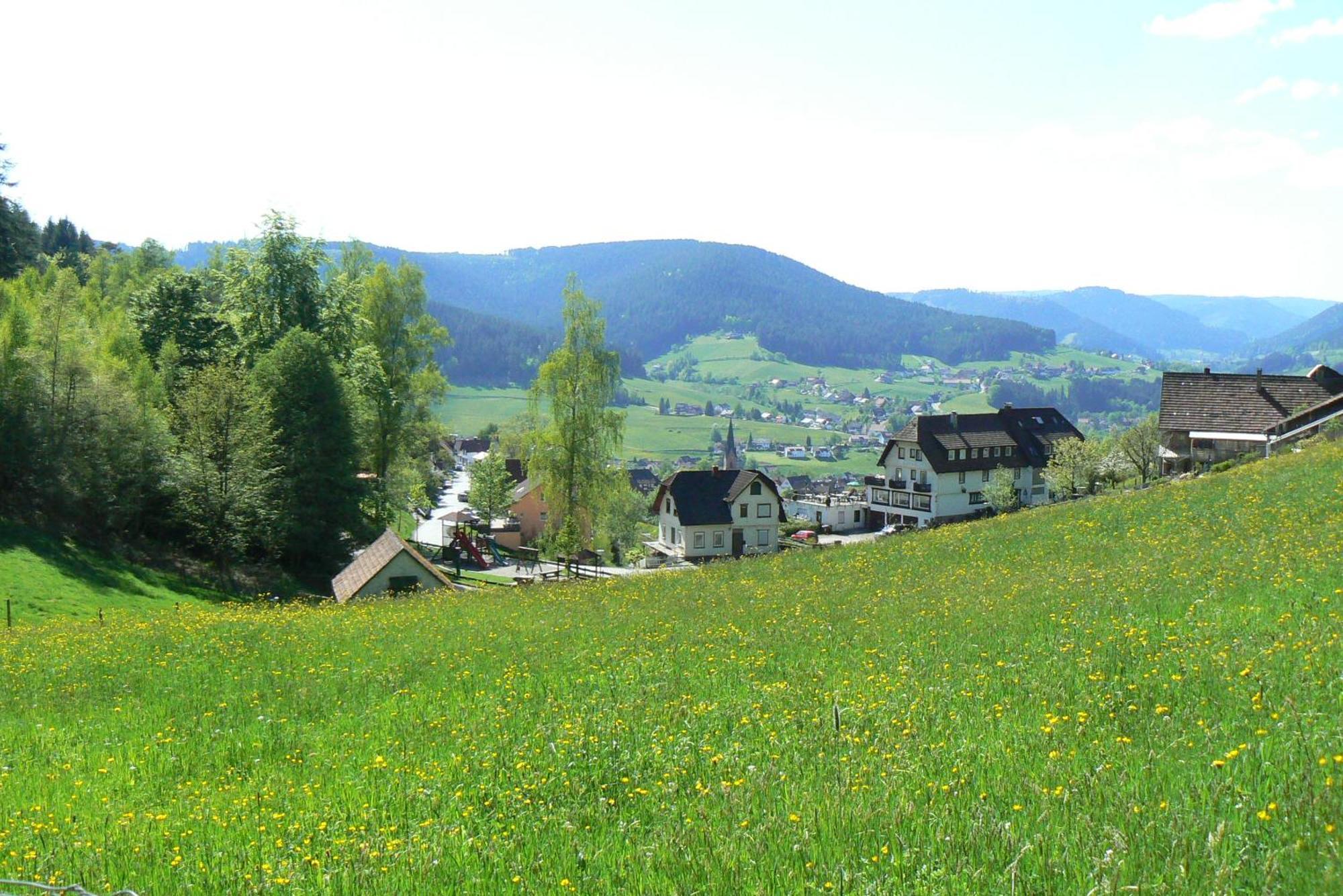 Pension Talblick Baiersbronn Exteriör bild