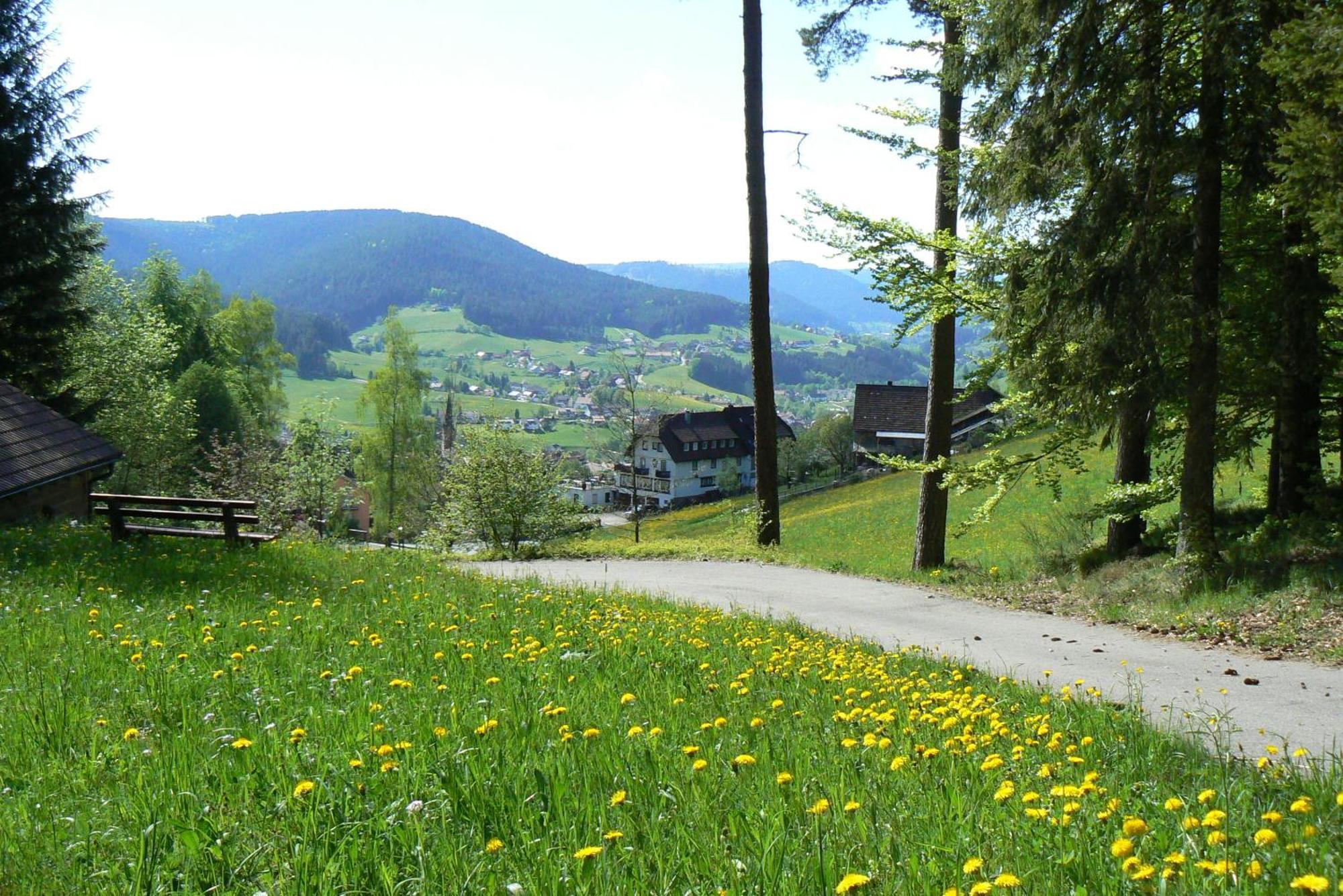 Pension Talblick Baiersbronn Exteriör bild