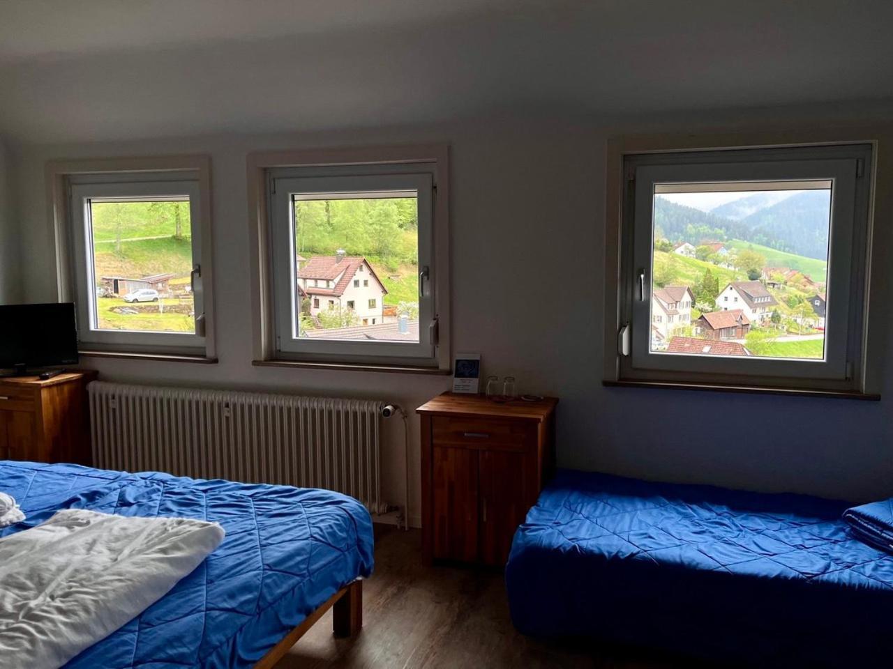 Pension Talblick Baiersbronn Exteriör bild
