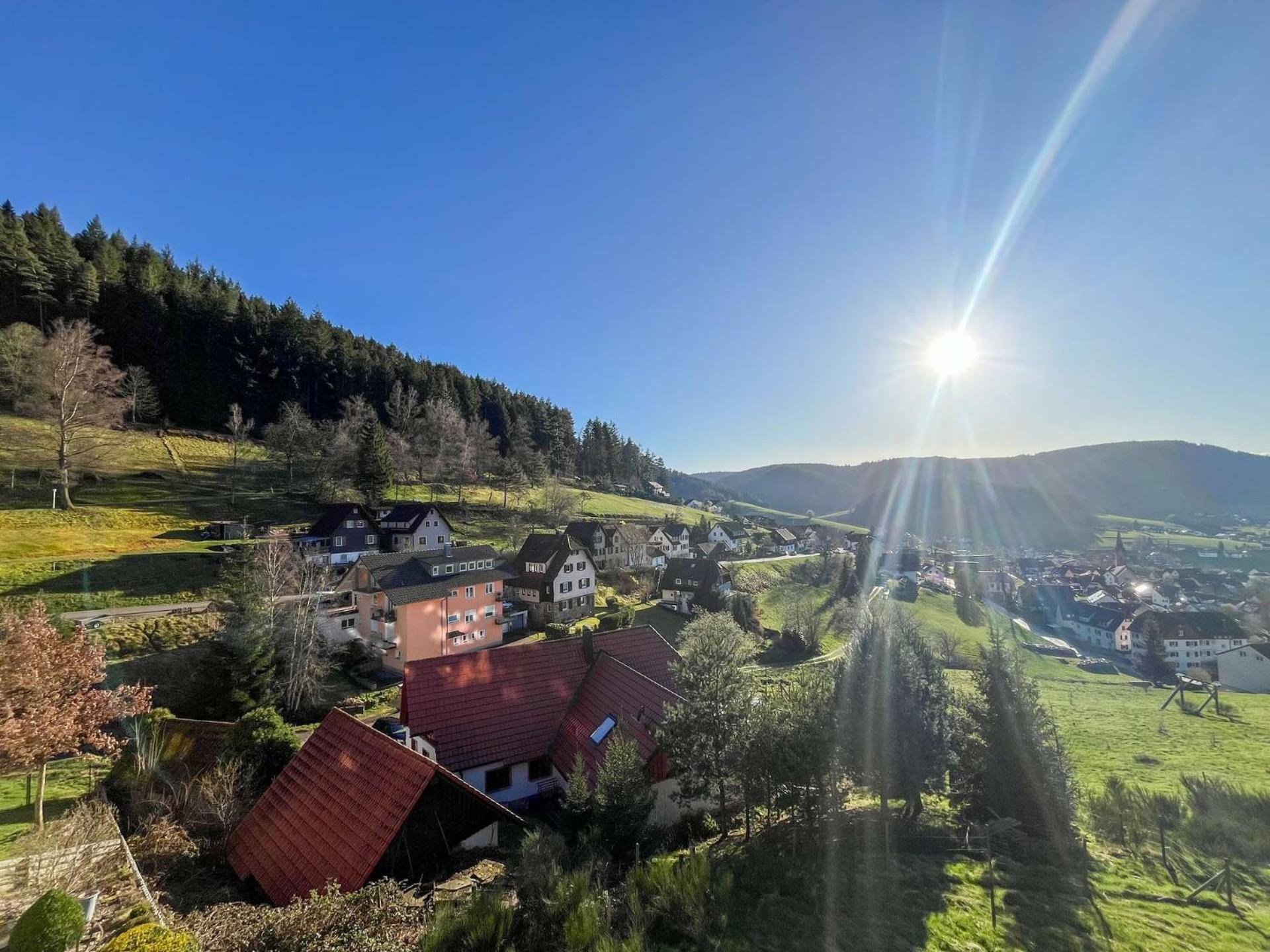 Pension Talblick Baiersbronn Exteriör bild
