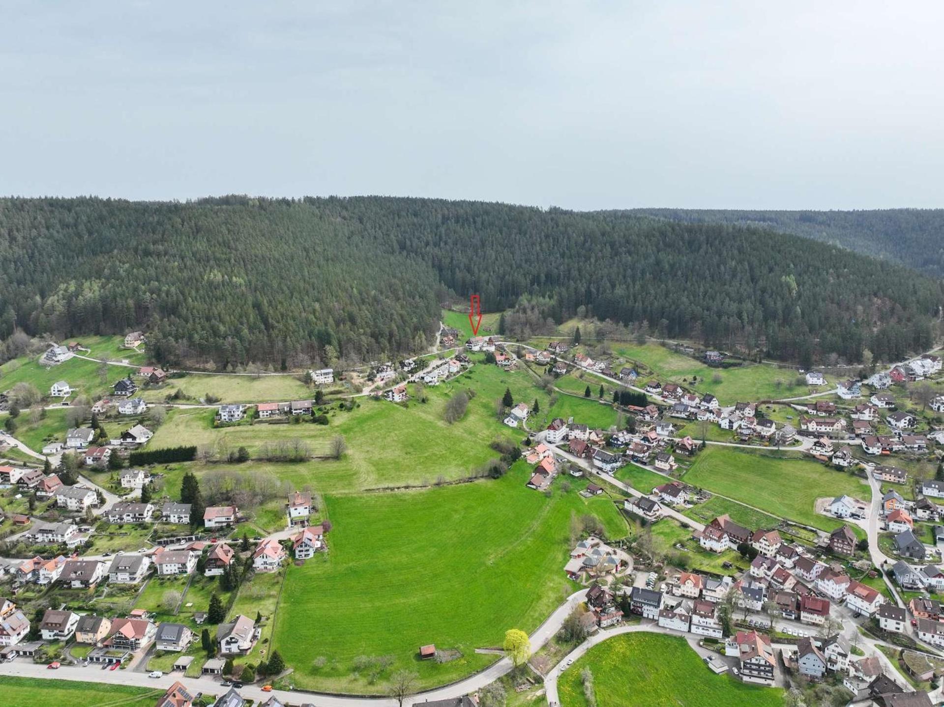Pension Talblick Baiersbronn Exteriör bild