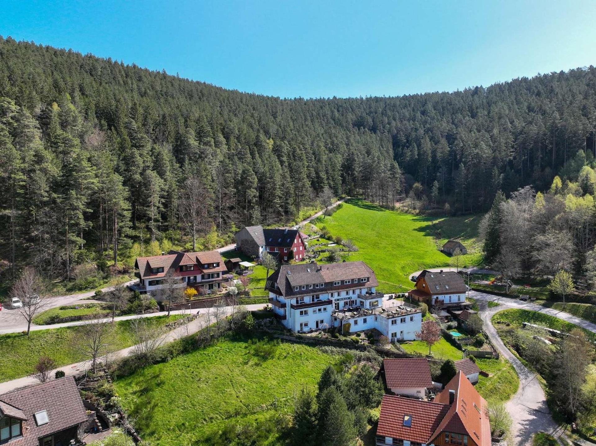 Pension Talblick Baiersbronn Exteriör bild