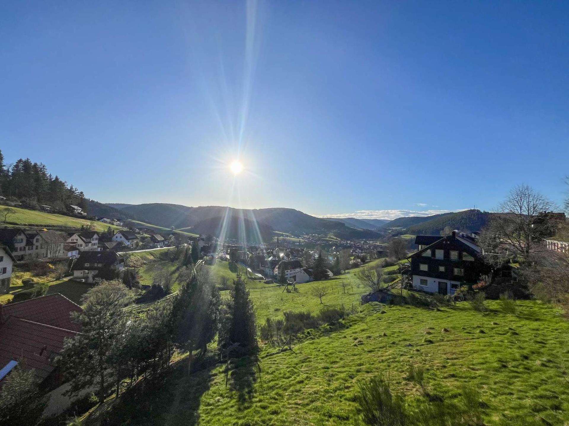 Pension Talblick Baiersbronn Exteriör bild