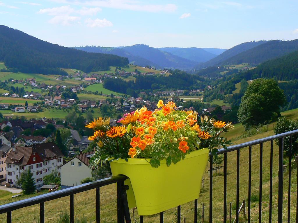Pension Talblick Baiersbronn Exteriör bild